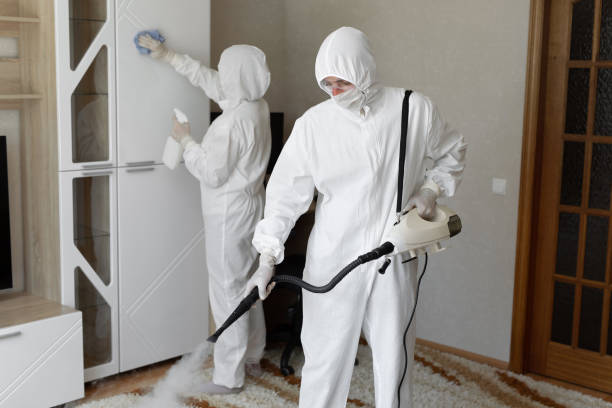 Home Mold Removal in Franklinville, NC